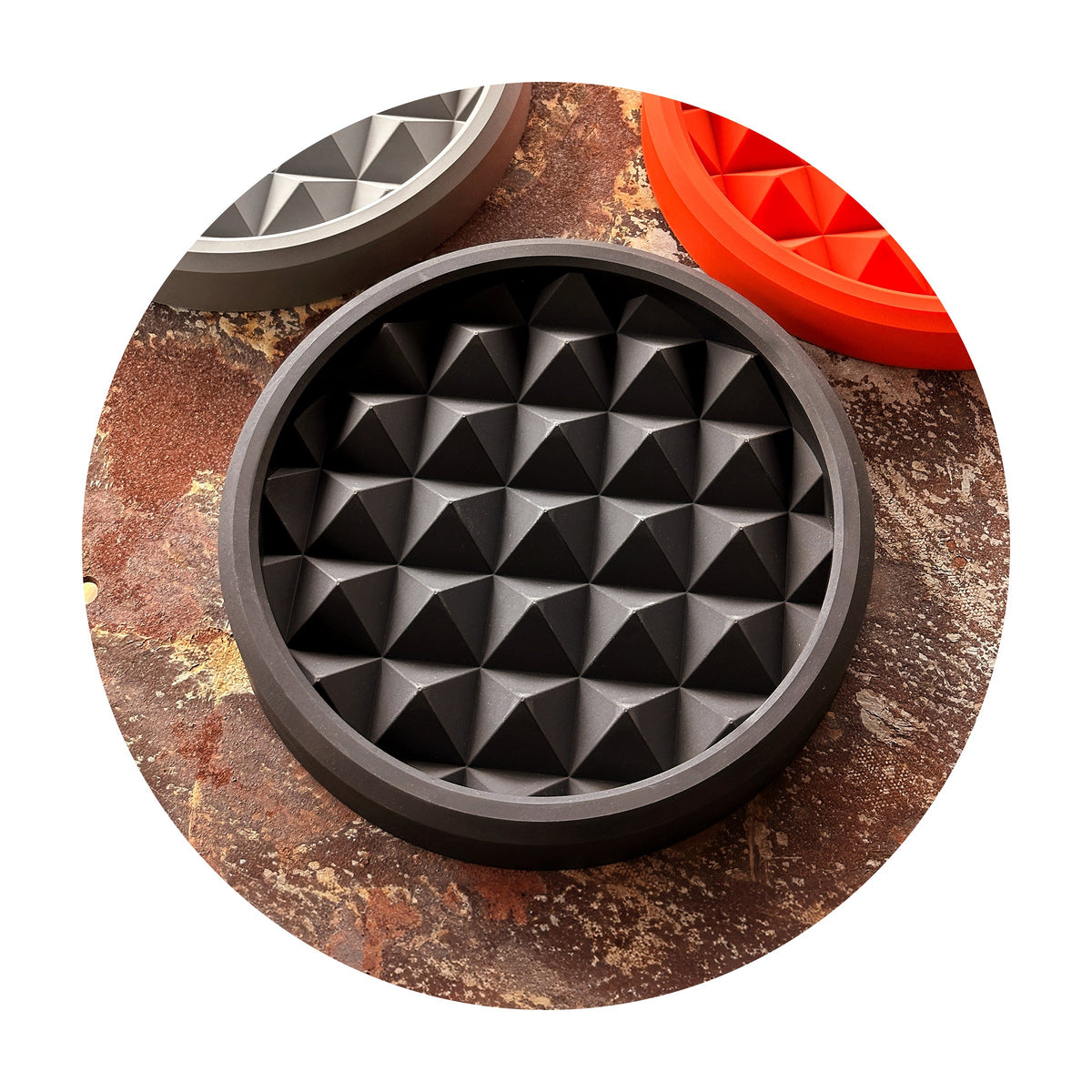 Round Curator Tray