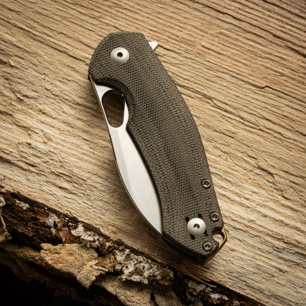 ACE Biblio XL Knife