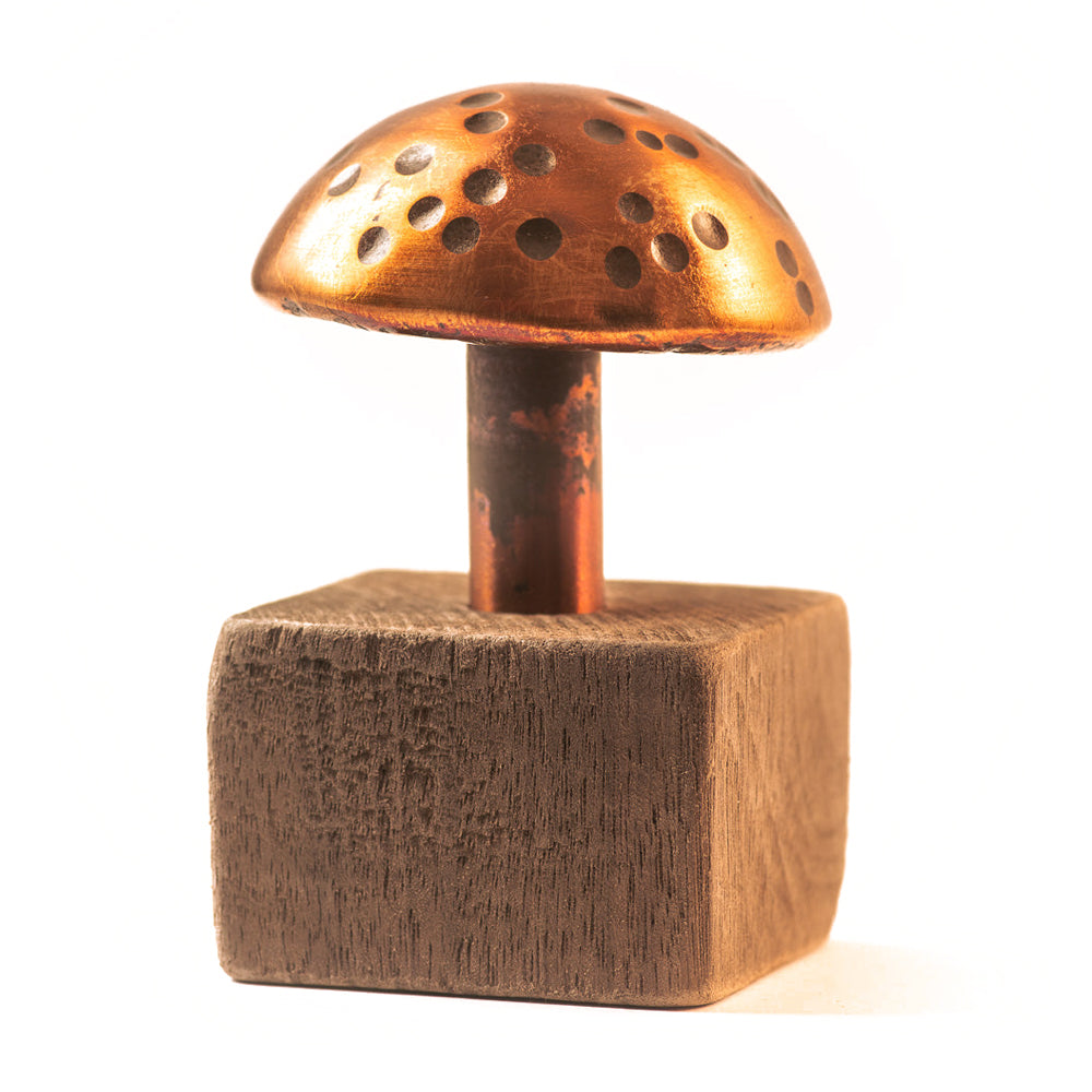 Copper Mushroom