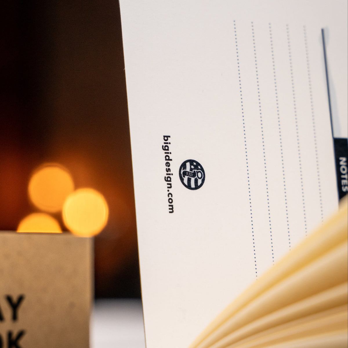 Everyday Notebook 3-Pack