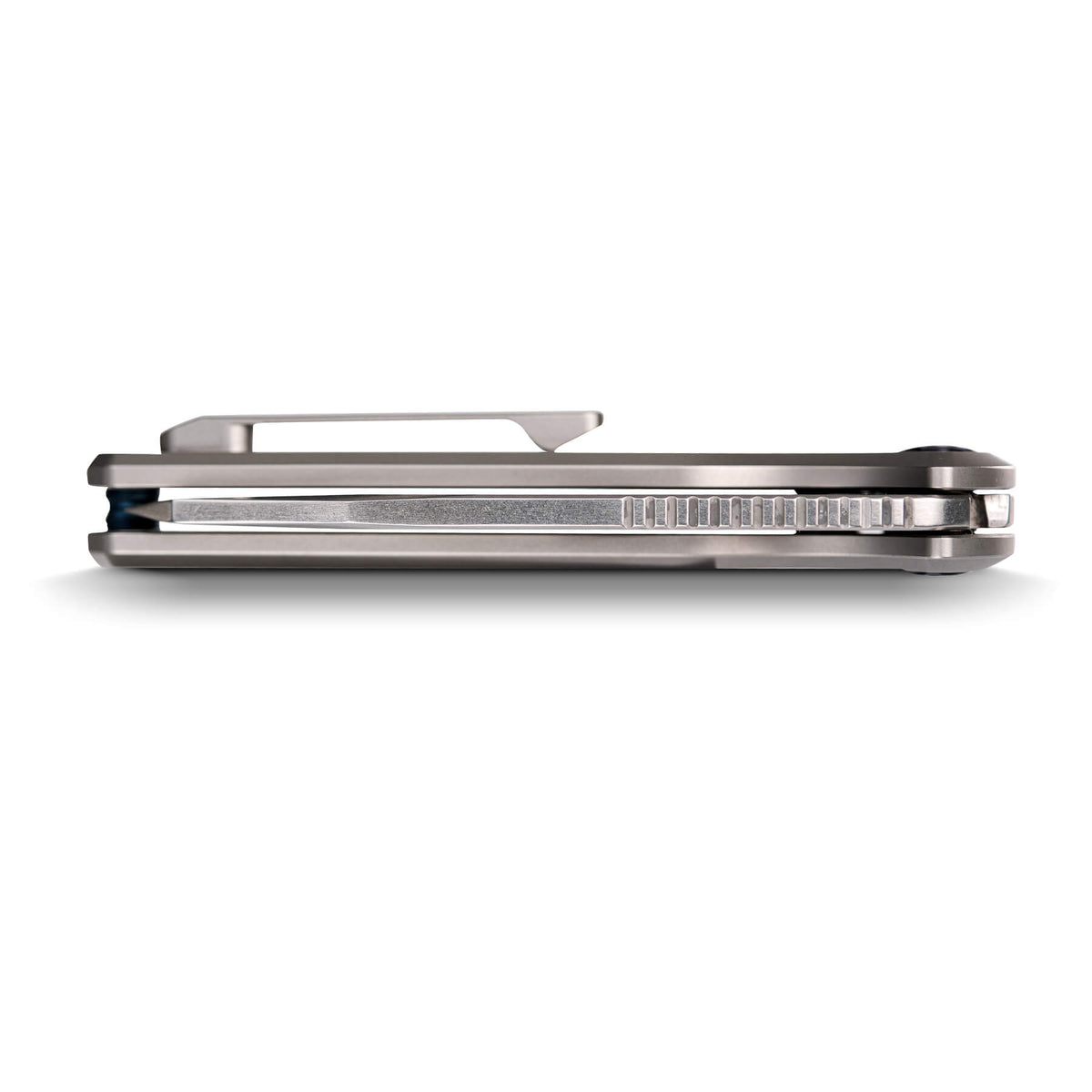 Gavko Leopard - Veitsi