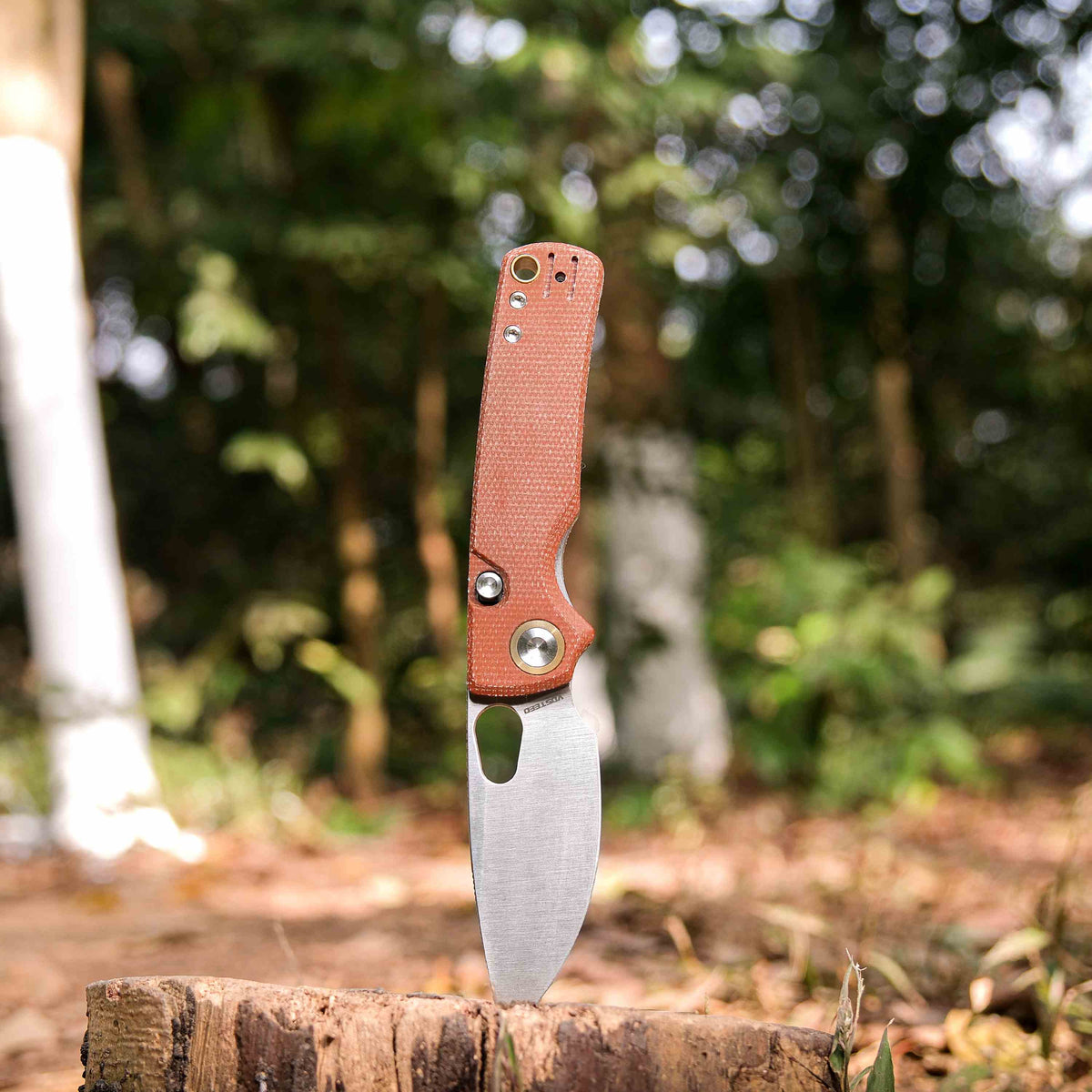Porcupine Knife