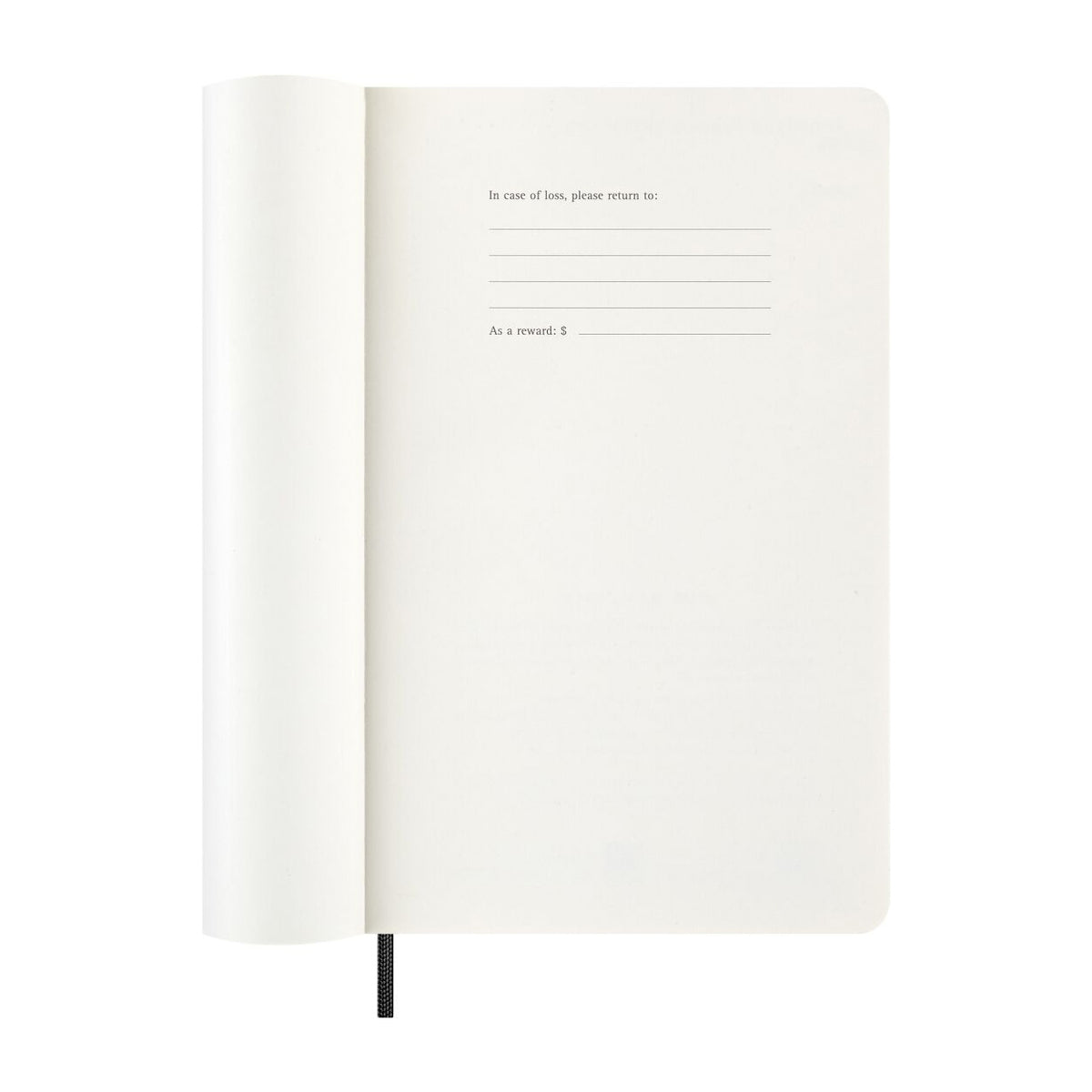 Daily Planner Large 2026 Calendar