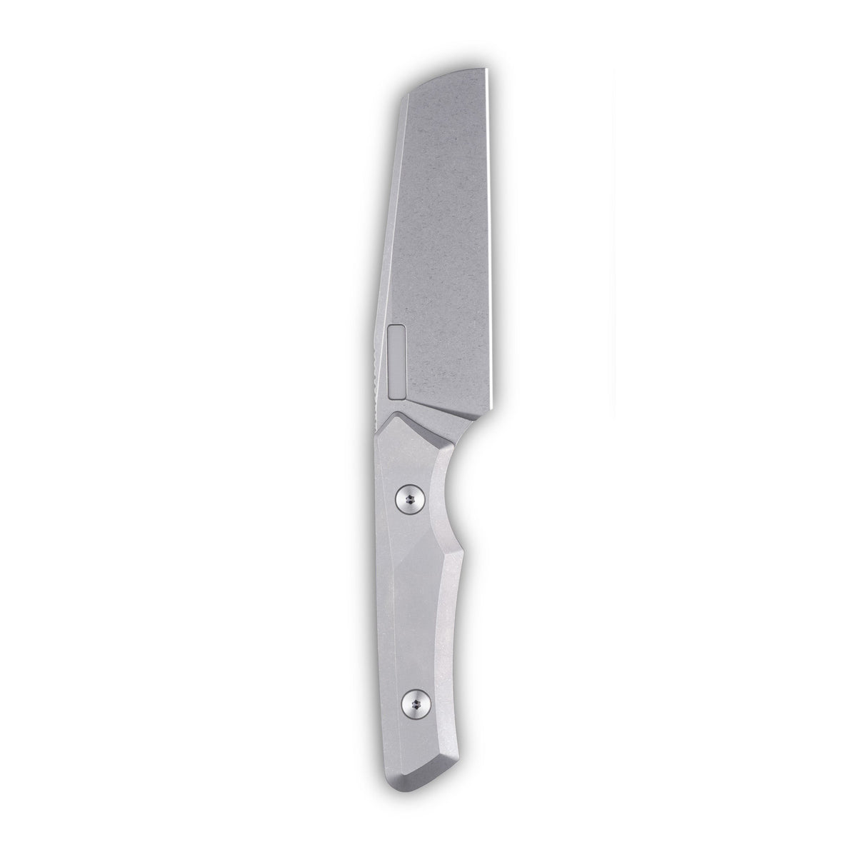 Axon Fixed Blade - Veitsi