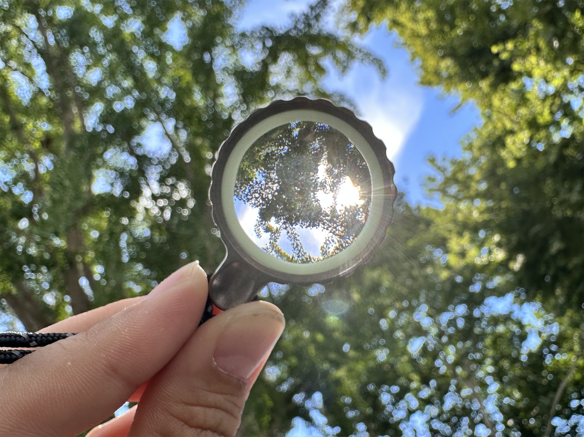 Titan Zoom Pocket Magnifier