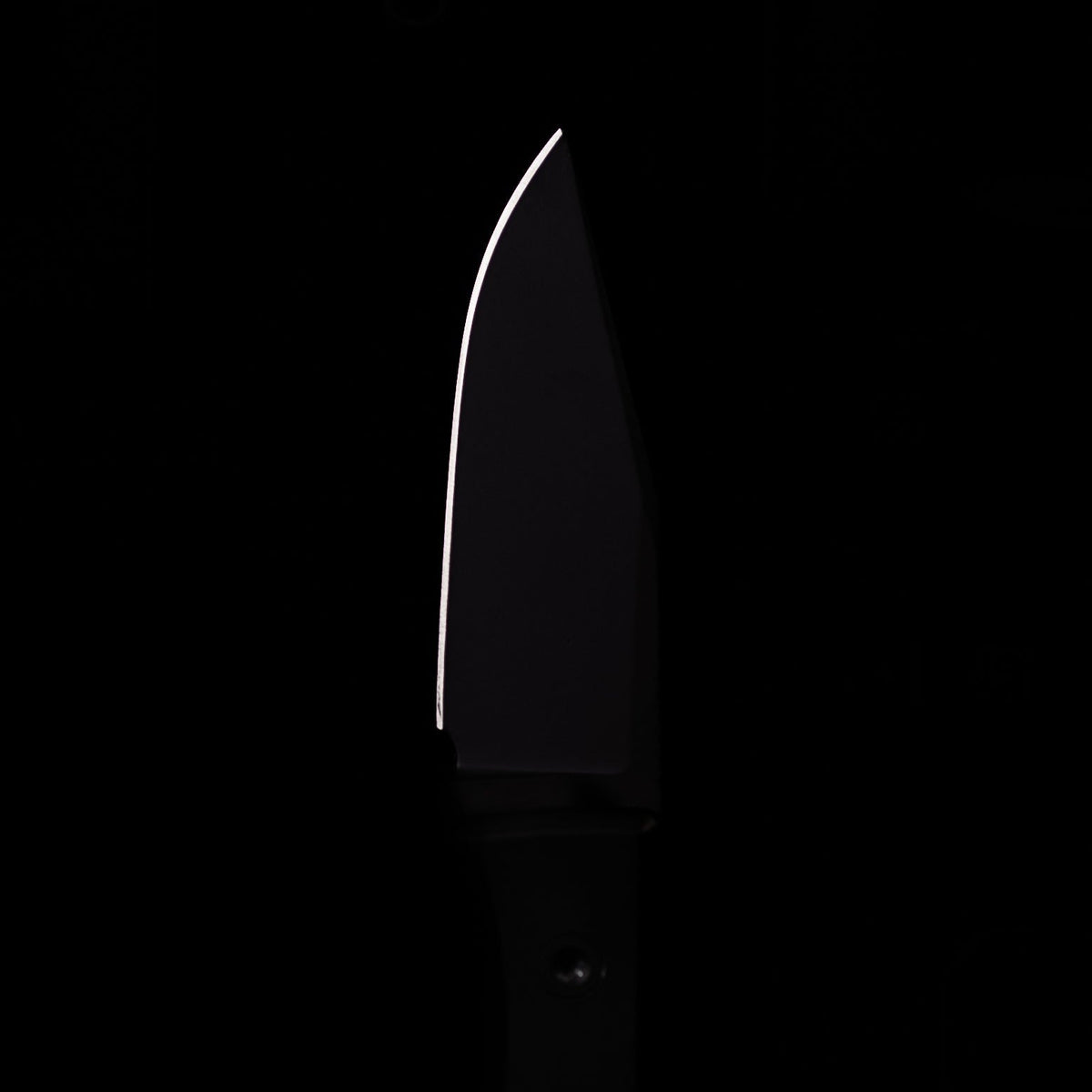 Ti Lookout Fixed Blade - Veitsi