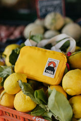 Travel Case