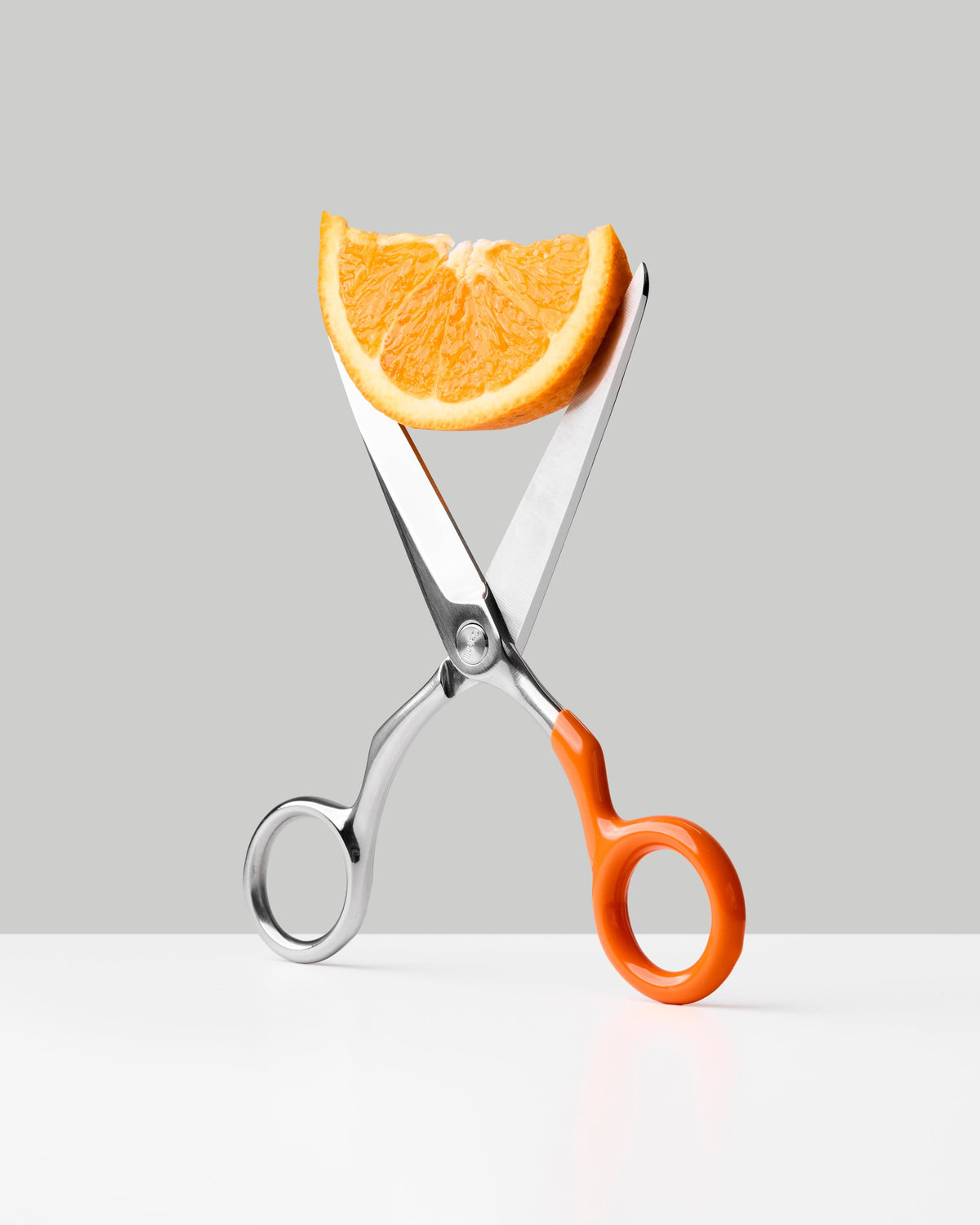 Craighill Spectra Scissors