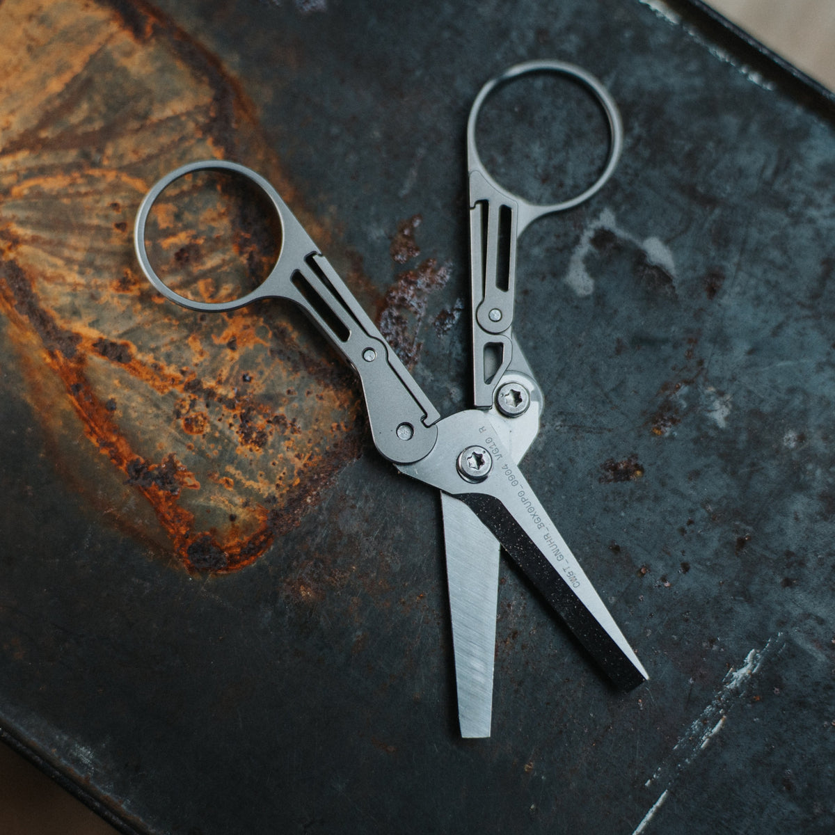 CW&T Little Scissors