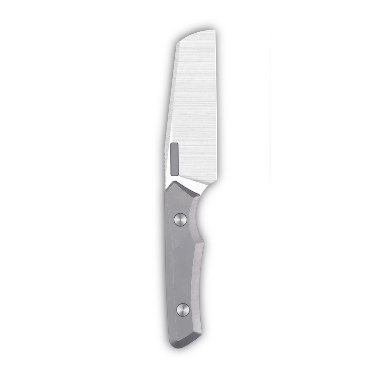 Axon Fixed Blade - Veitsi